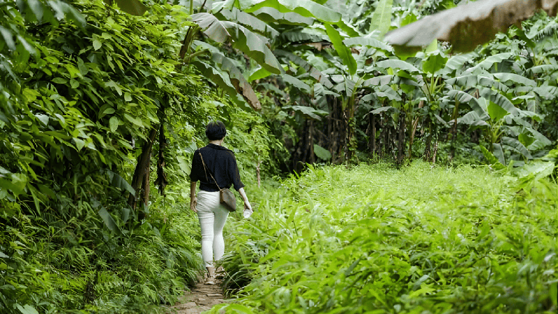 Hành Trình Trekking Cúc Phương Hang Múa và Hoa Lư (4)